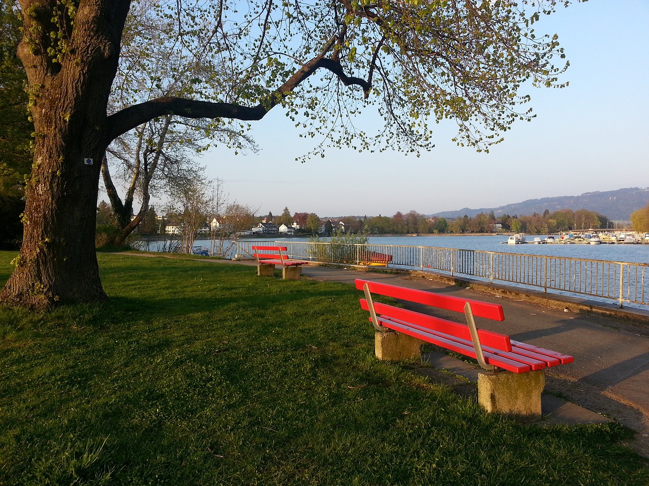 极的预测 极的预测