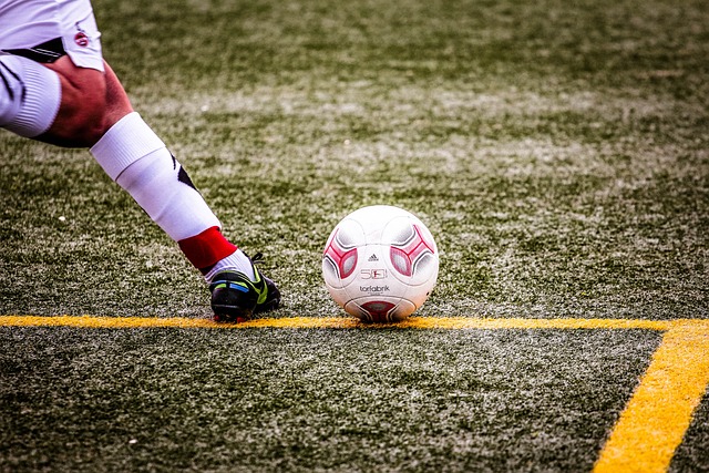 納帥鼓舞球隊，德國隊誌在歐洲杯冠軍！.